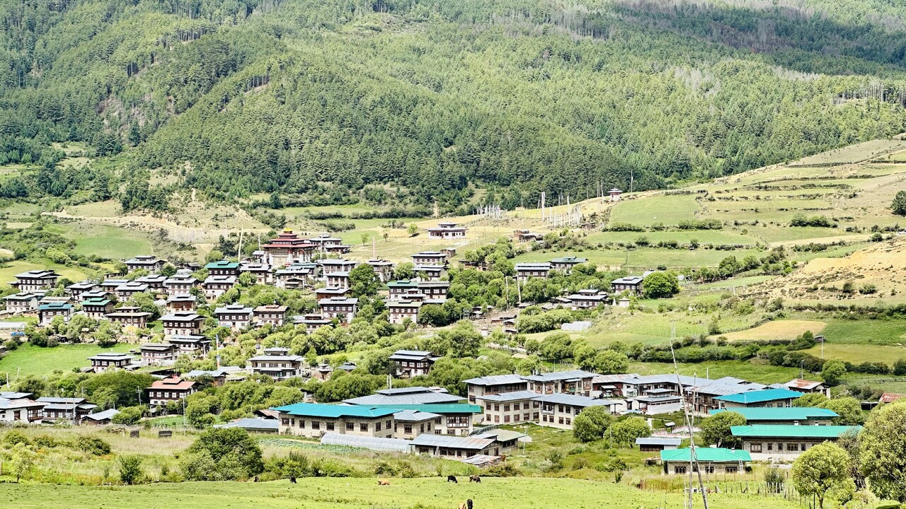 Thimphu Festival