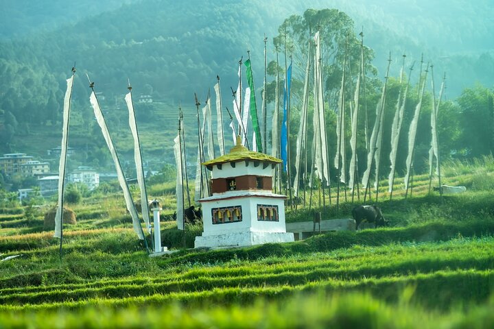 Essence of Himalayas